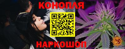 бошки Краснодар