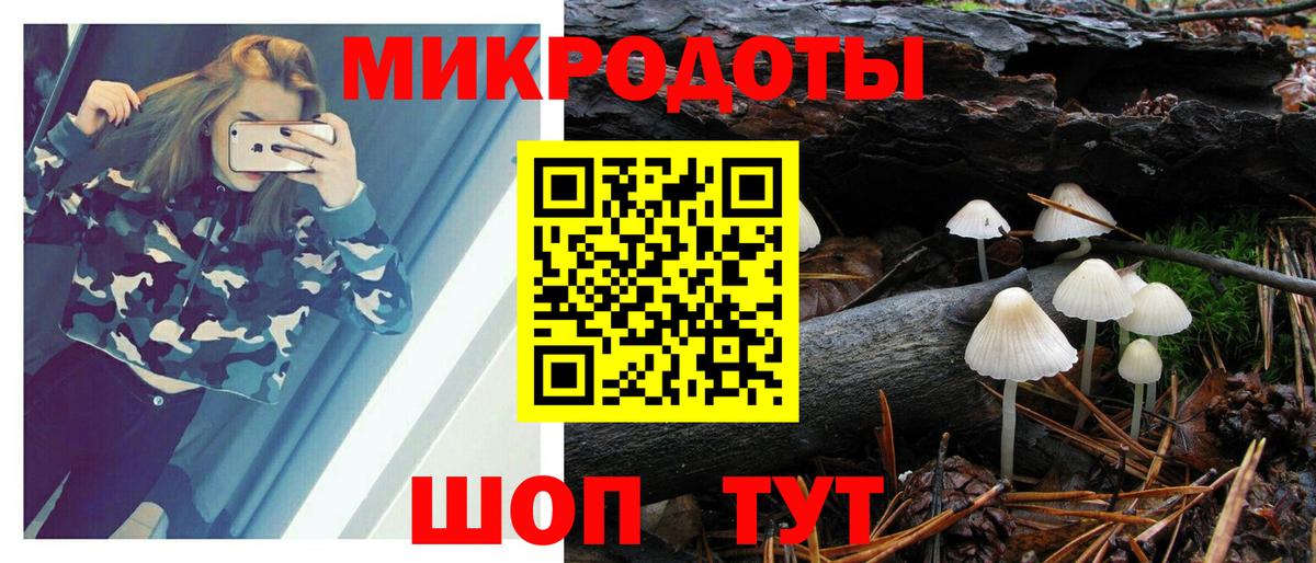магазин продажи   Вход с VPN  Дербент  Псилоцибиновые грибы MAGIC MUSHROOMS 